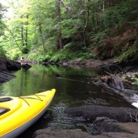 Paddling